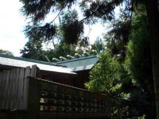 CIMG4684-