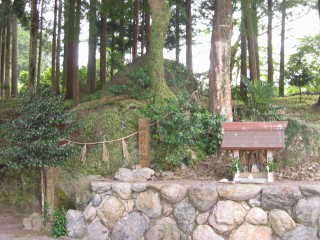 津島神社③