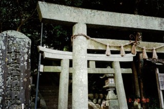 izawa2